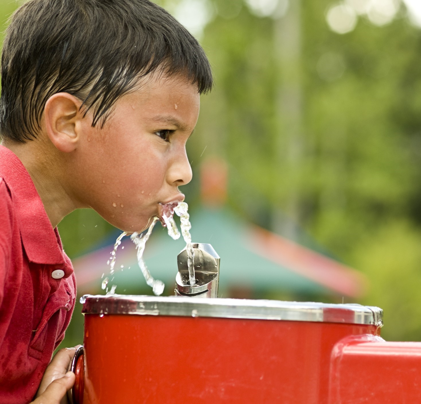 Boy Drinks From Water Fountain