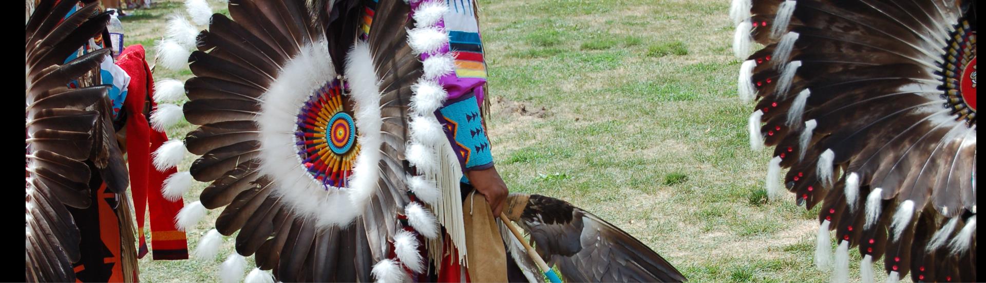 People in Regalia at a Powwow