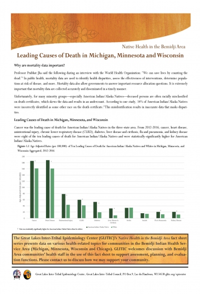 Leading Causes of Death in Michigan, Minnesota and Wisconsin 0818